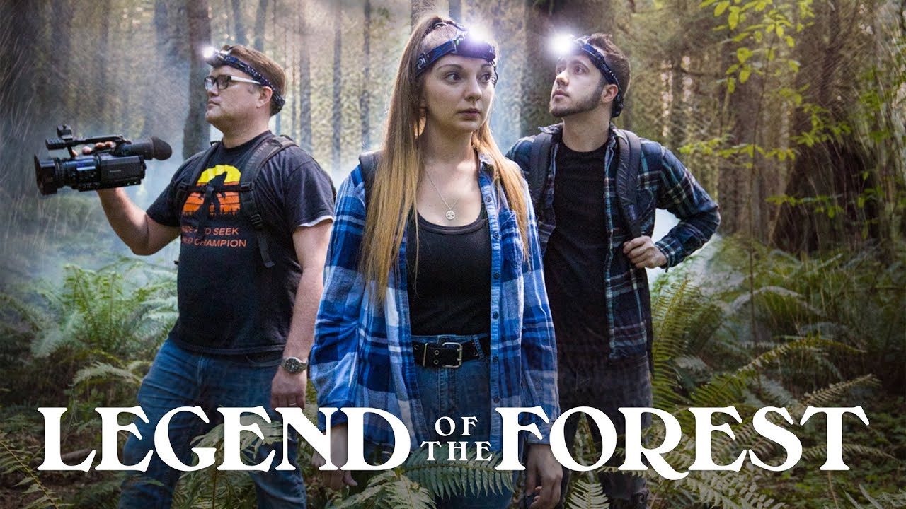 video-section-banner-image
