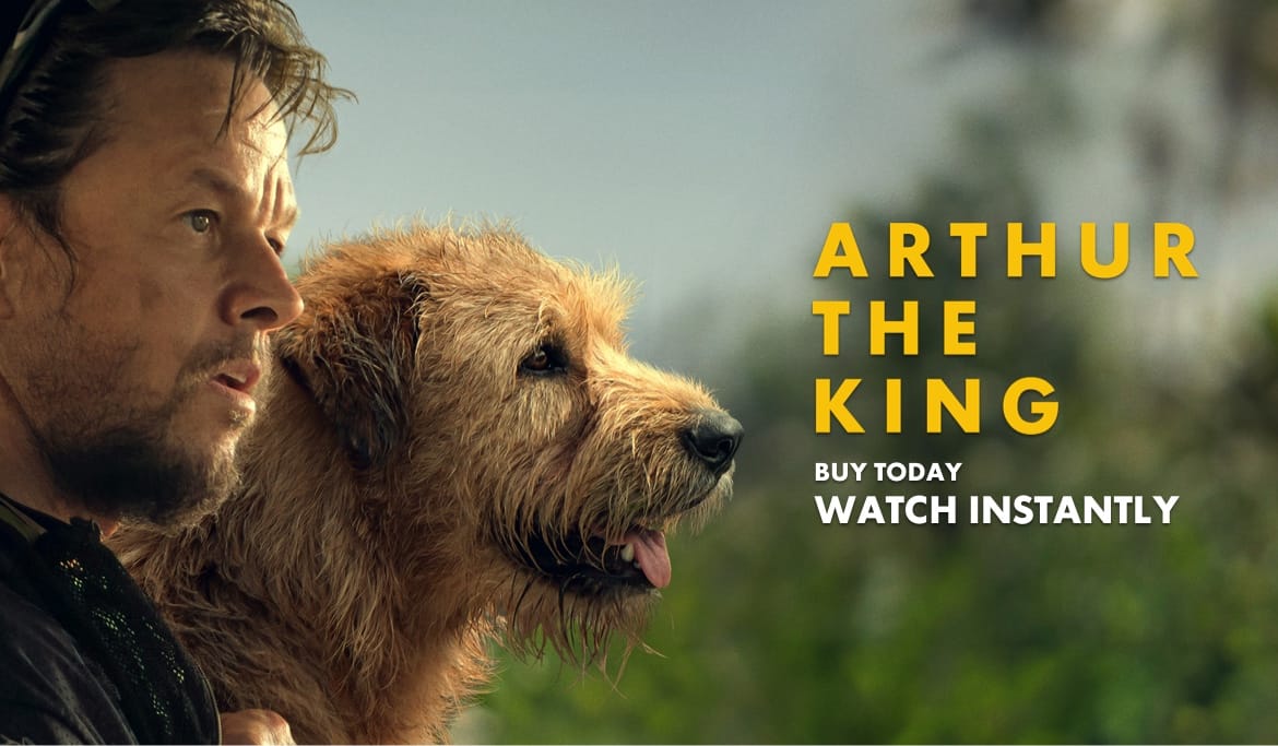 video-section-banner-image