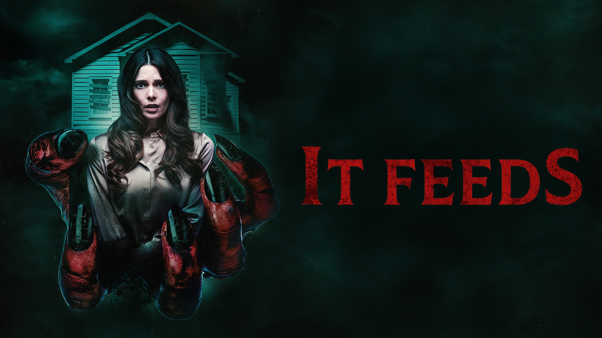video-section-banner-image