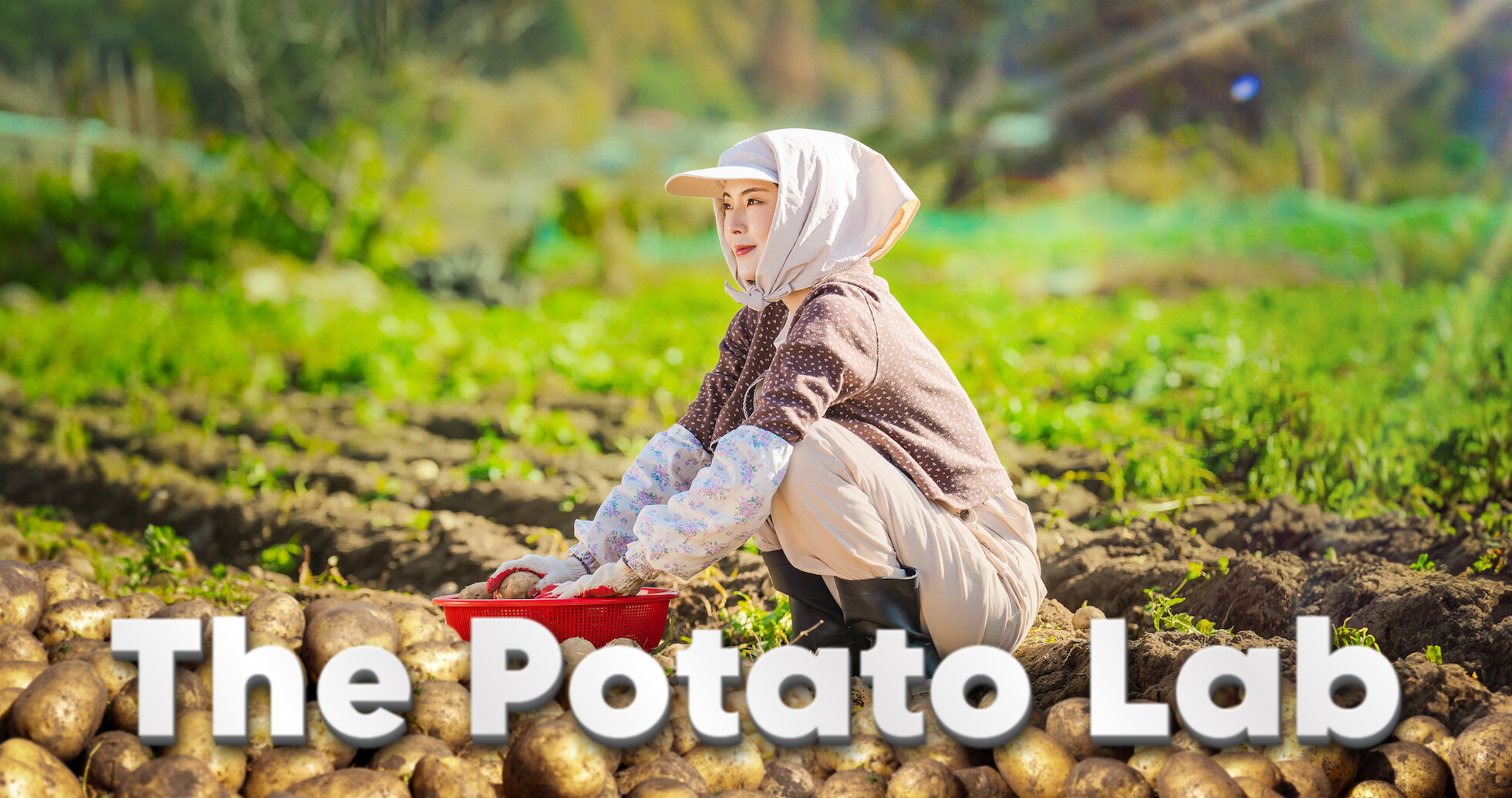 The Potato Lab