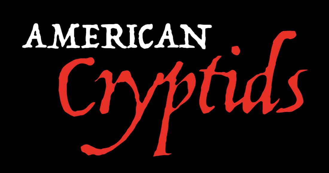 video-section-banner-image