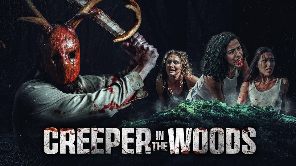 video-section-banner-image