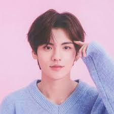 Bi Wenjun