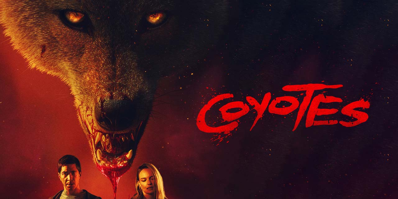 Coyotes