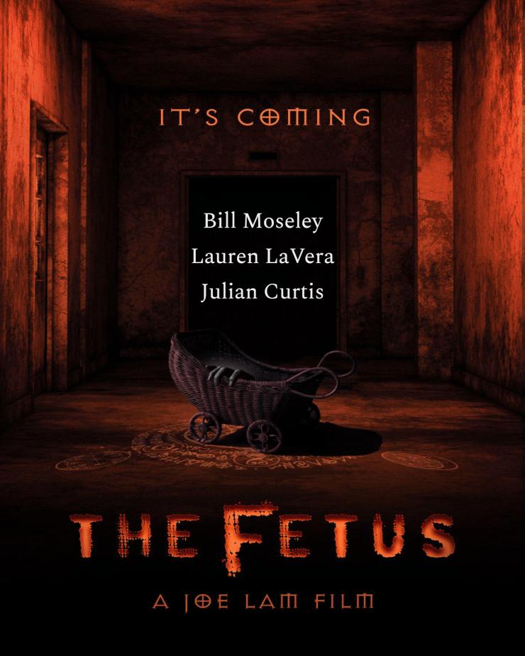The Fetus