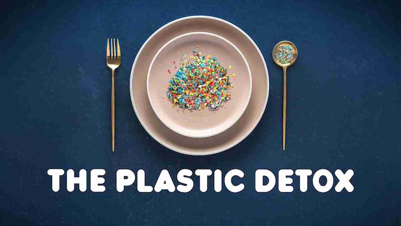 The Plastic Detox