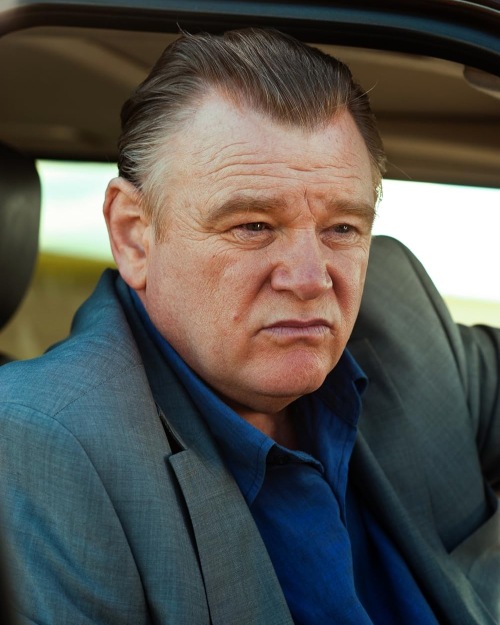 Brendan Gleeson